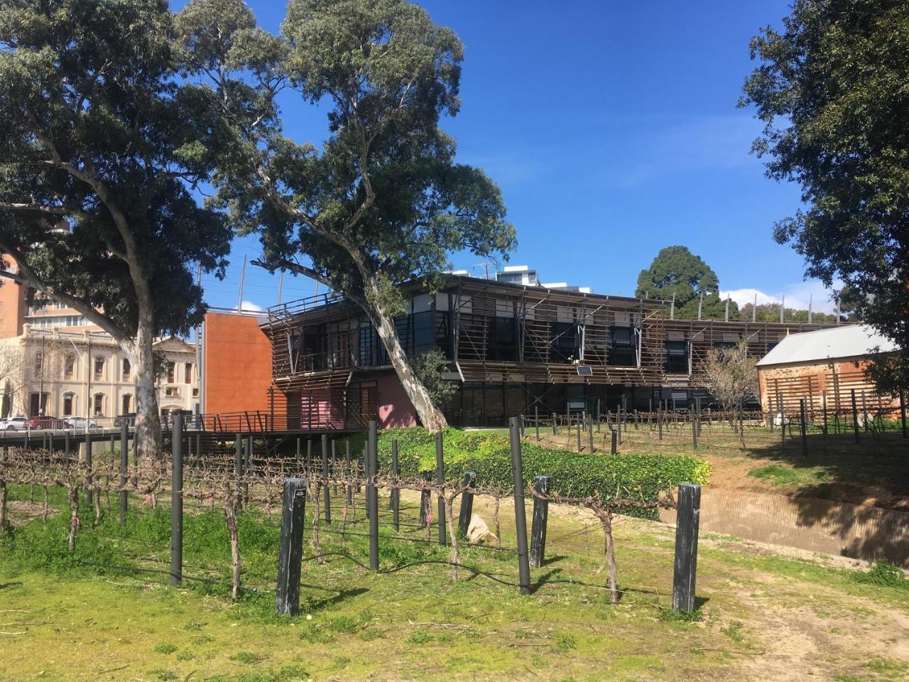 Adelaide Style Accommodation-Close To City-North Adelaide-3 Bdrm- Free Parking Exteriör bild